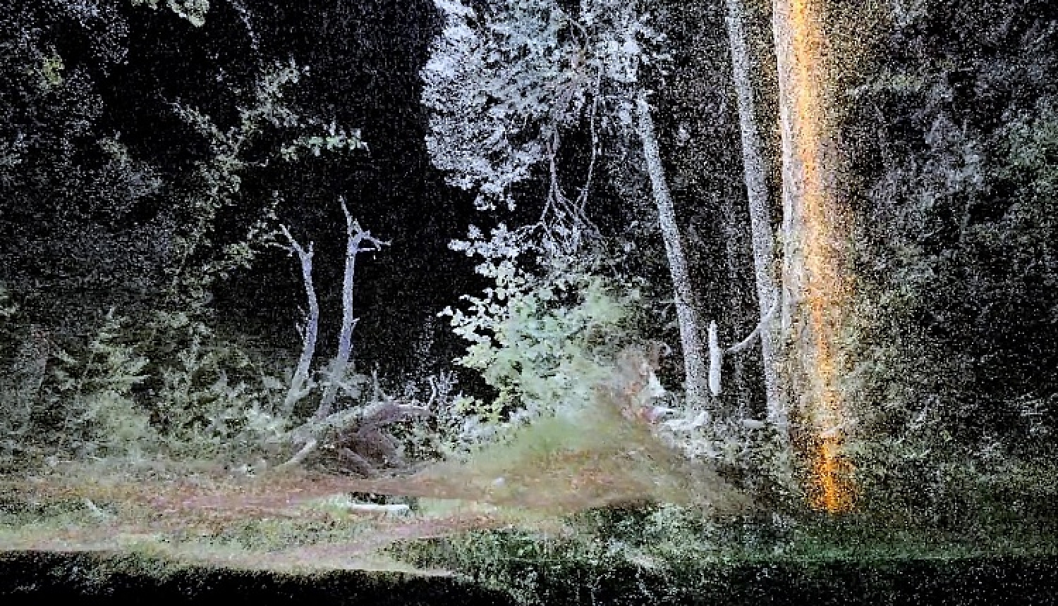 “Atmosfēriskais mežs” – Rasas Šmites un Raita Šmita jaunais VR mākslas darbs izstādes “Kritiskās zonas” virtuālajā atklāšanā ZKM Vācijā